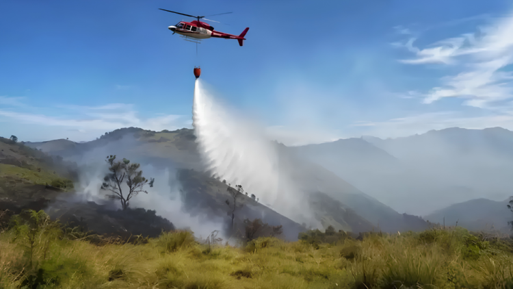 karhutla Bromo