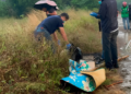 kasus mutilasi Depok