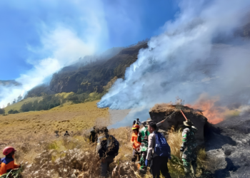 kebakaran Bromo