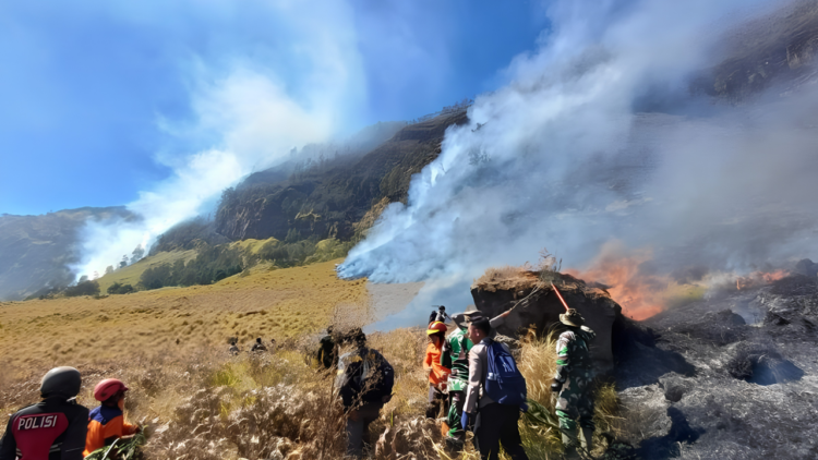 kebakaran Bromo