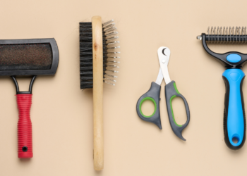 grooming pria