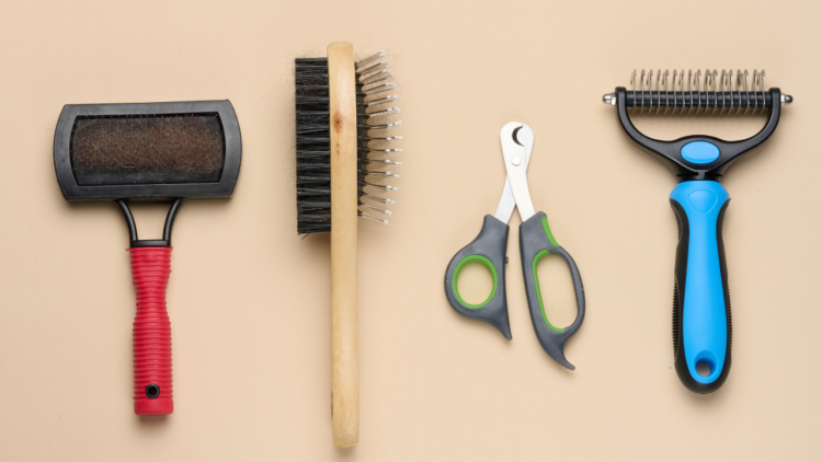 grooming pria