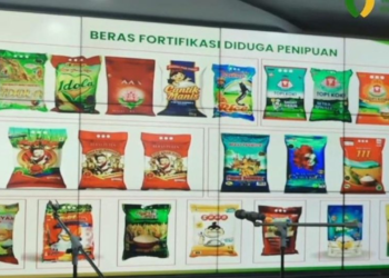 beras fortifikasi