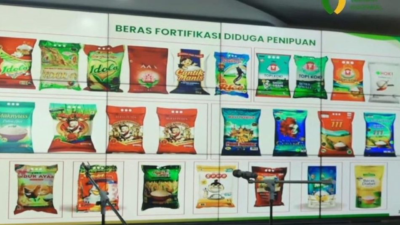 beras fortifikasi