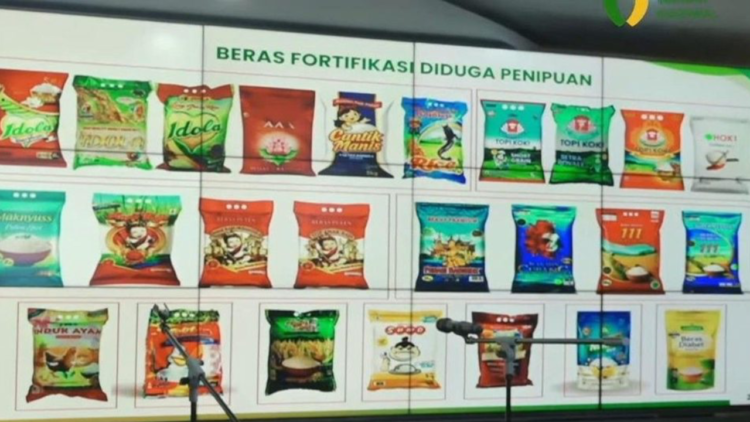 beras fortifikasi beras fortifikasi