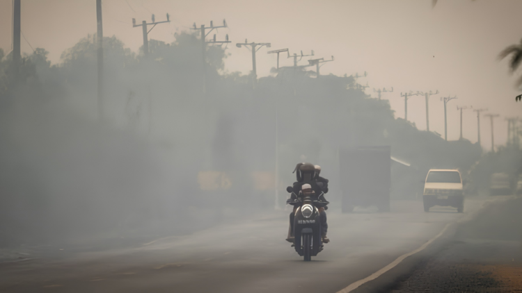 kabut asap karhutla