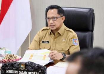 anggaran karhutla
