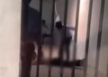 pencambukan pegawai SPPG