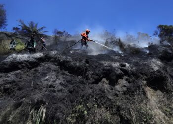 karhutla di Jawa