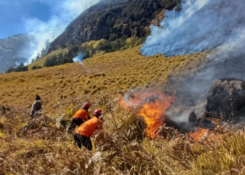 karhutla Bromo