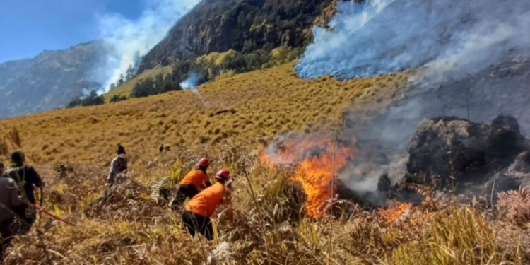karhutla Bromo