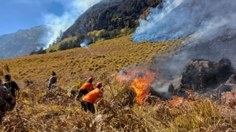 karhutla Bromo
