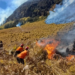 karhutla Bromo